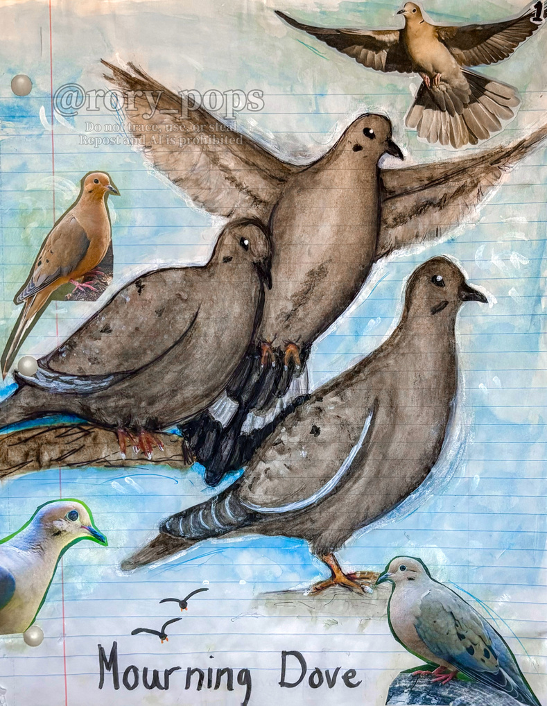 Mourning Doves - Watercolor